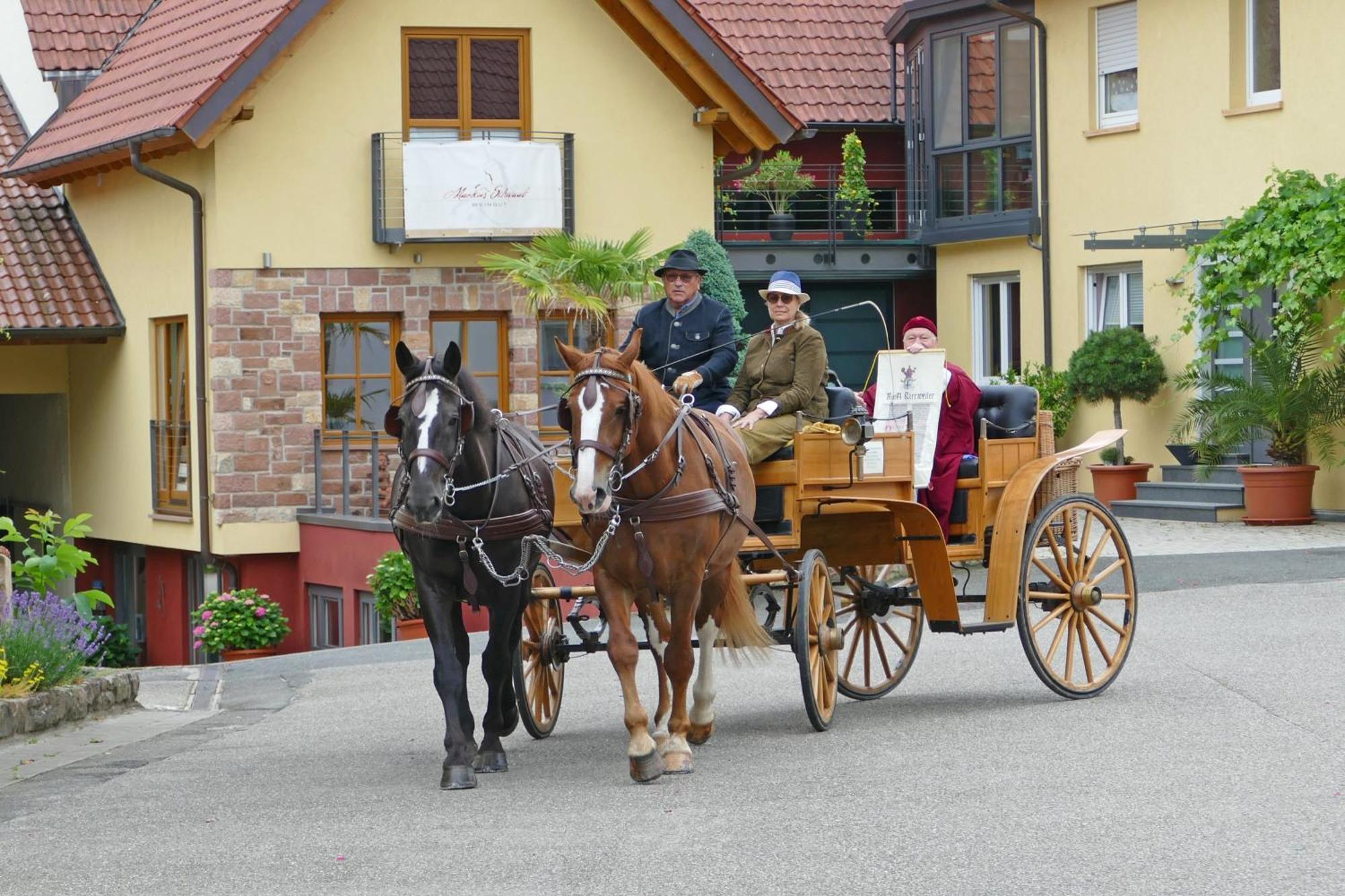 Hotel Garni Sebastian Kirrweiler  外观 照片